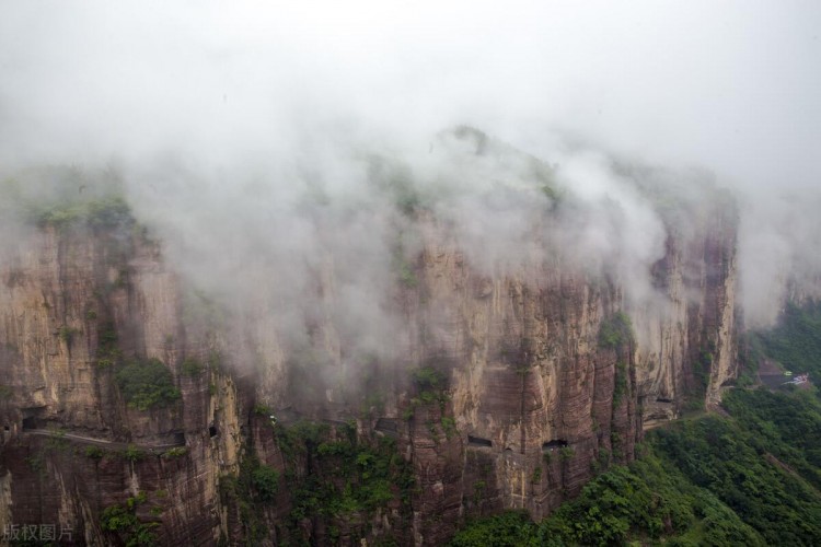 宠物旅游｜万仙山景区爱宠托运秘籍